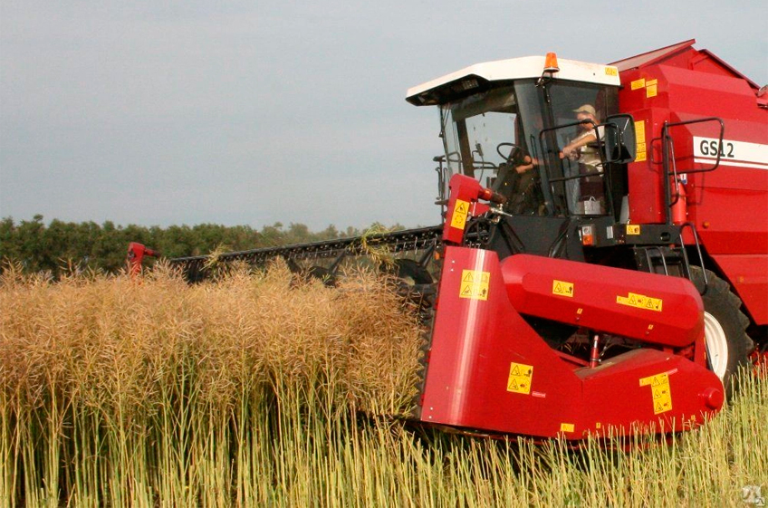 В Тульской области собрали рекордный за всю историю урожай рапса в 183 тыс. тонн