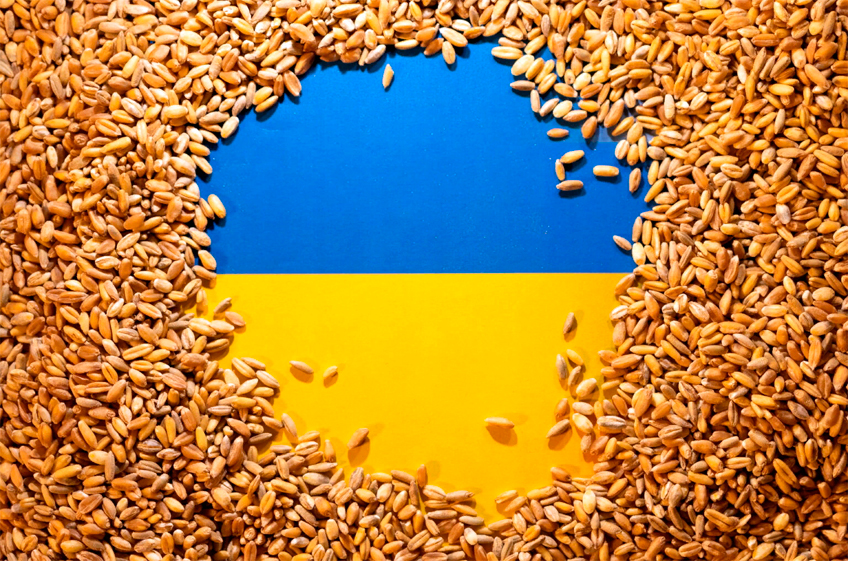 Украина ежемесячно увеличивает экспорт зерна на 20-30%