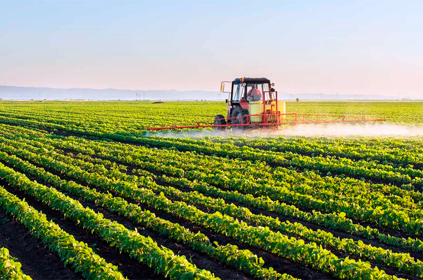 Правительство РФ утвердило стратегию развития сельского хозяйства до 2030 года