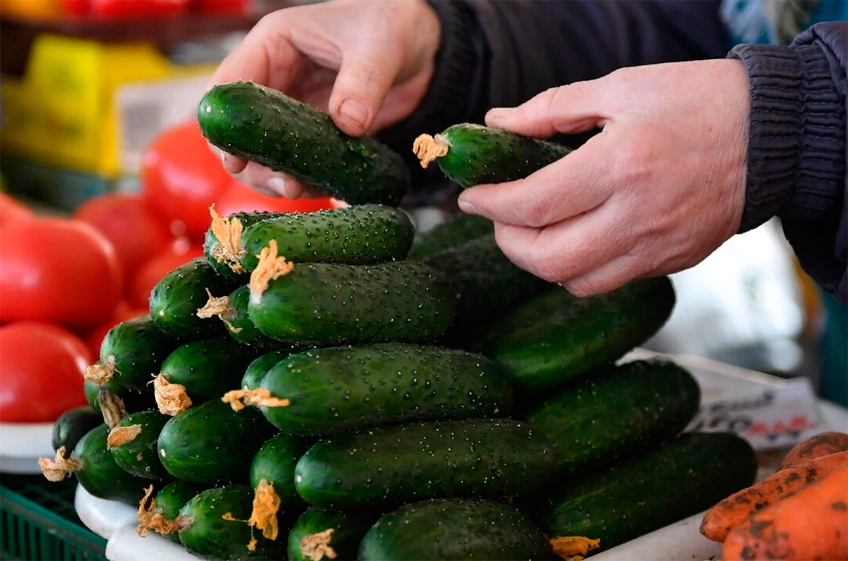 В первую неделю осени в России подорожали огурцы, другие овощи продолжают дешеветь