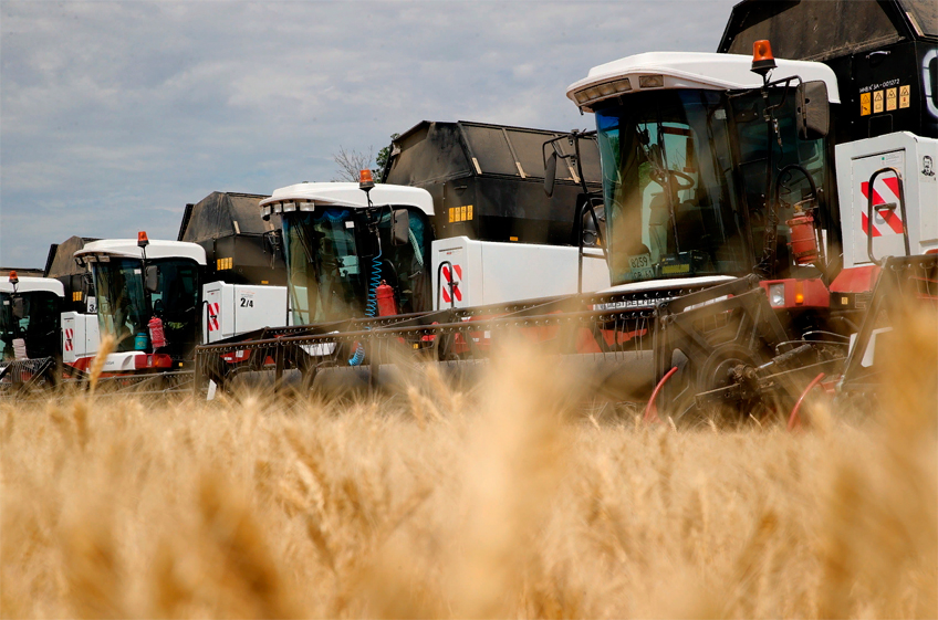 Россия в этом году уже побила свой рекорд по сбору пшеницы, установленный в 2017 году