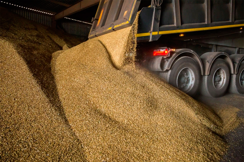В российский госфонд 19 сентября было закуплено 29,7 тыс. тонн зерна