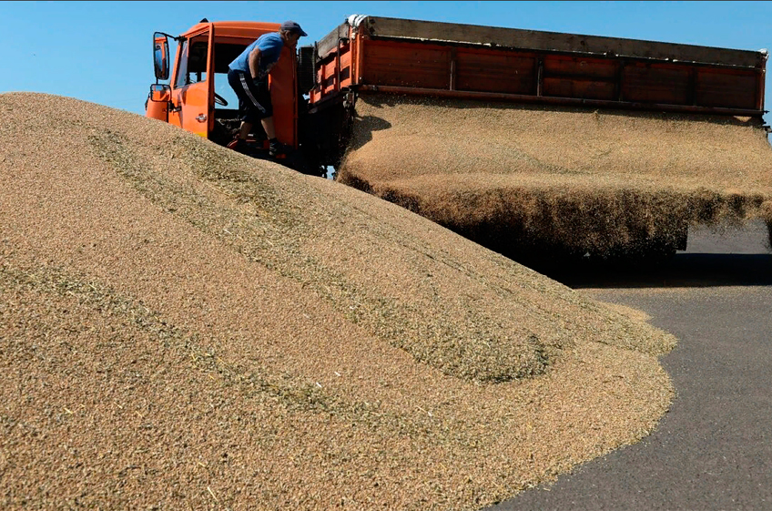 В госфонд России 20 сентября было закуплено 28,35 тыс. тонн зерна