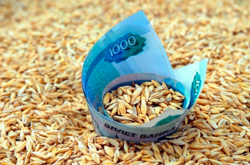 В госфонд России 22 сентября было закуплено 31,05 тыс. тонн зерна