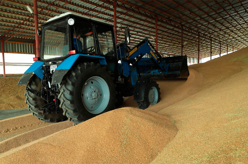 В госфонд России 23 сентября было закуплено 25,65 тыс. тонн зерна