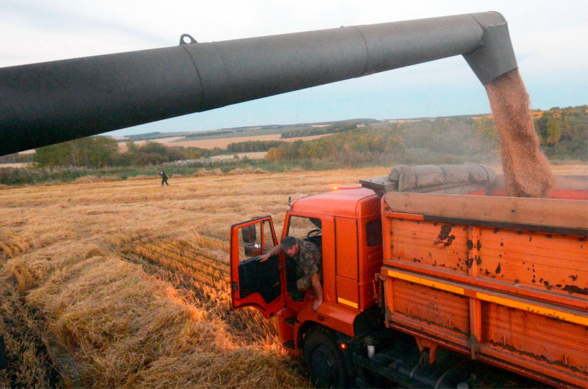 В госфонд РФ 28 сентября было закуплено 25,65 тыс. тонн зерна