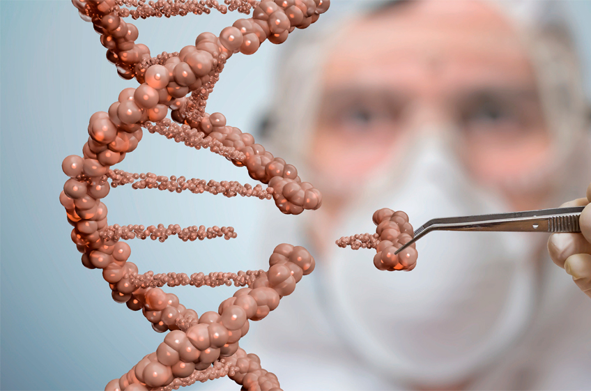 Исследователи предлагают новый метод тестирования генно-модифицированных культур