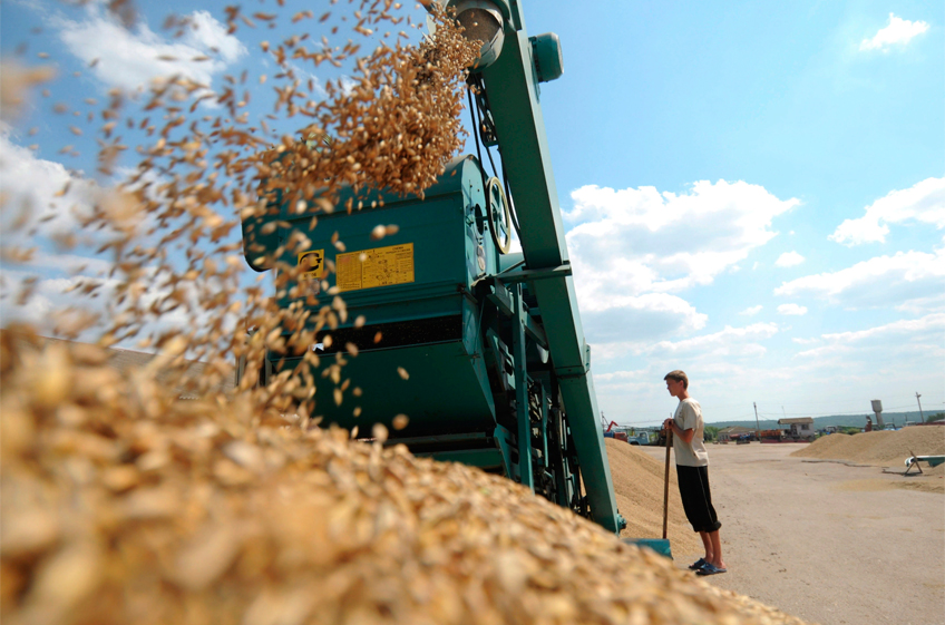В РЗС спрогнозировали развитие ситуации на рынке зерна
