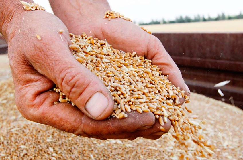 Российские власти не собираются отменять экспортную пошлину на зерно