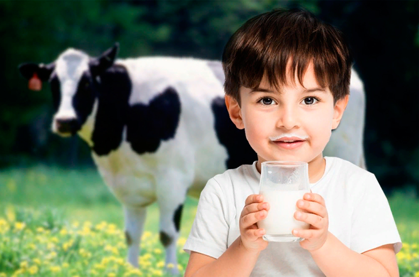 С. Лисовский: «Дайте детям фермерское молоко»
