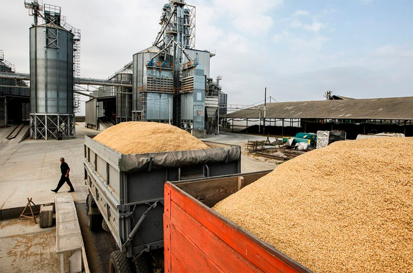 Дешевое российское зерно замещает казахстанское на рынке Ирана