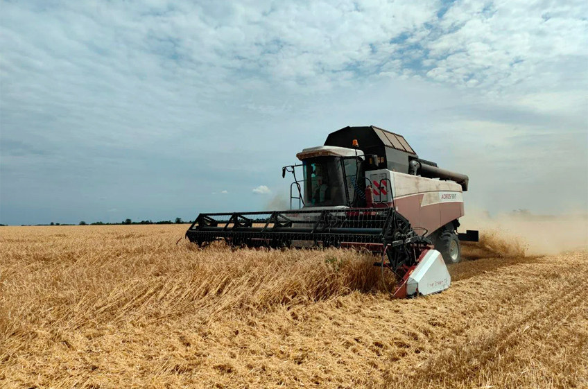 «ПроЗерно»: урожай зерна в России в этом году может составить 140 млн тонн