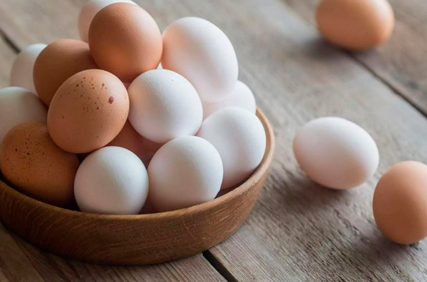Минсельхоз РФ планирует рассмотреть вопрос об обнулении пошлин на импорт яиц