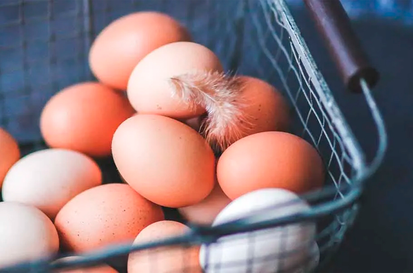 ФАС возбудила дела в отношении региональных производителей куриных яиц
