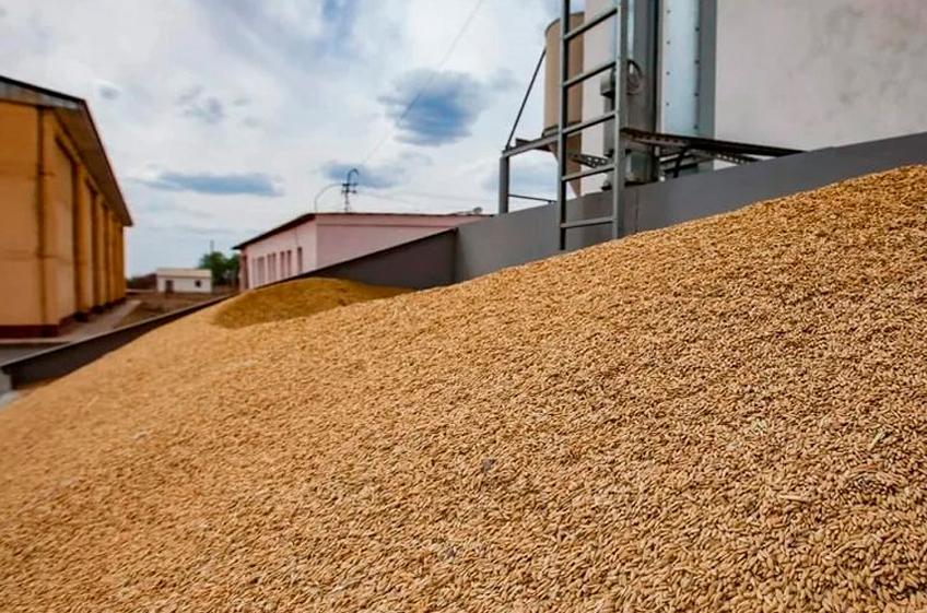 «Русагротранс» снизил прогноз экспорта пшеницы из России в декабре с 4,5 млн тонн до 3,8-3,9 млн тонн