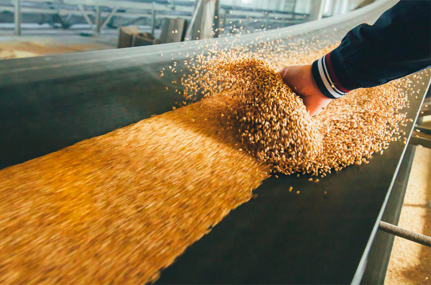 Правительство РФ утвердило квоту на экспорт зерна из России в 24 млн тонн в 2024 годуv