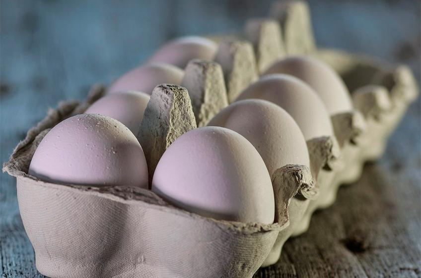 Правительство РФ одобрило обнуление пошлин на поставки пищевых яиц