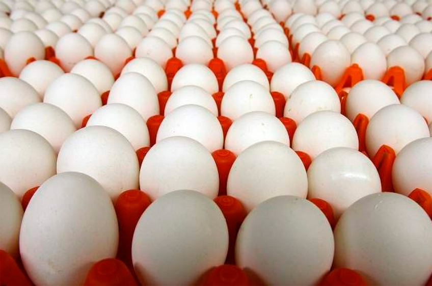 В Россию доставили вторую партию яиц из Азербайджана