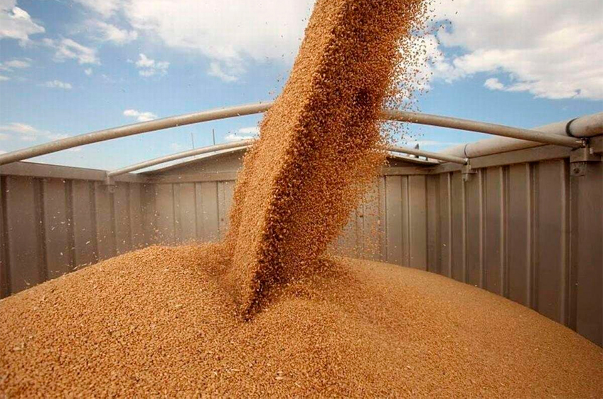 Россия в ноябре снизила отгрузки зерна на экспорт на 37% — до 4 млн тонн