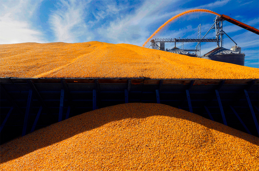 Отгрузки зерна на экспорт из России с 1 по 10 декабря снизились на 19,2%