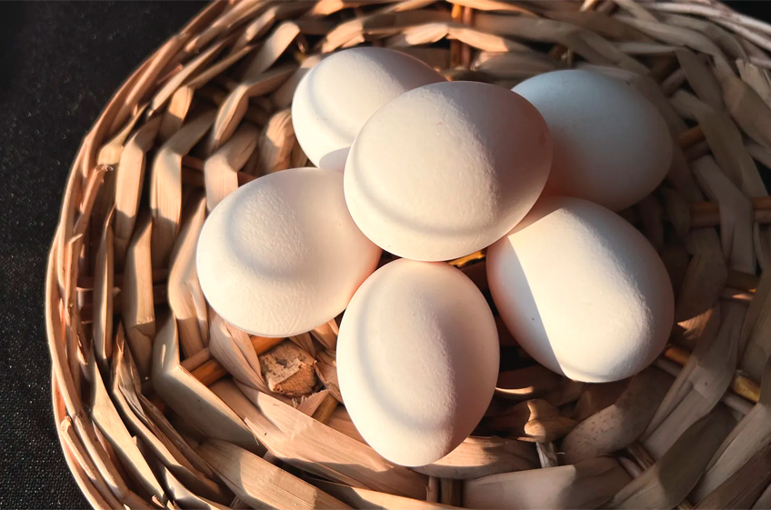 Росстат: производство яиц в российских сельхозорганизациях в ноябре сократилось на 0,2%