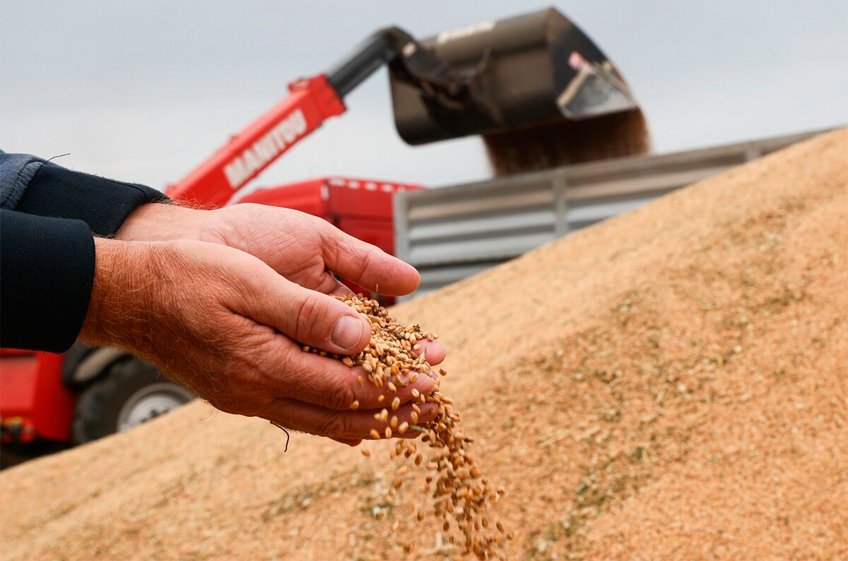 В российский госфонд 19 декабря было закуплено 18,5 тыс. тонн зерна