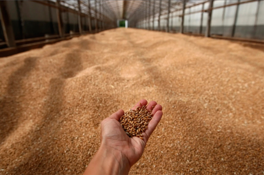 В российский госфонд 26 декабря было закуплено 18,36 тыс. тонн зерна