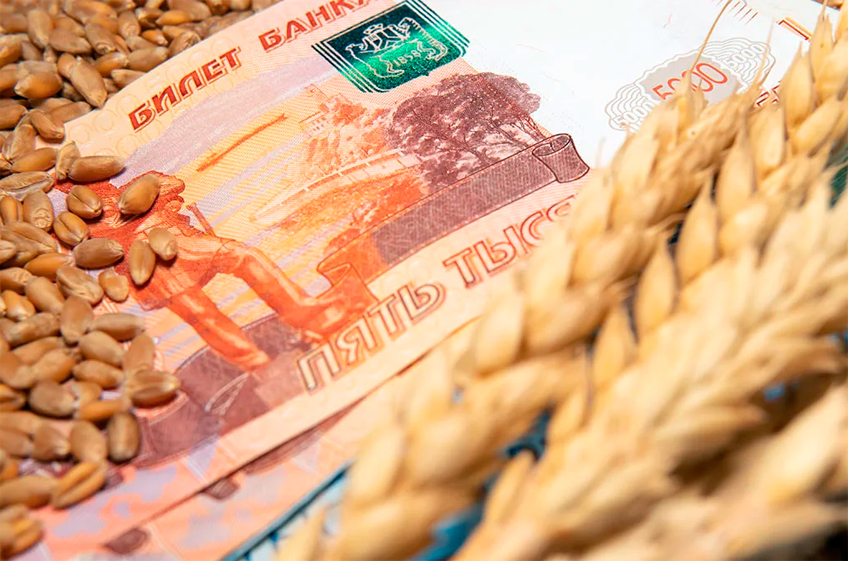 С 13 декабря пошлина на экспорт пшеницы из России повышается на 6,7%
