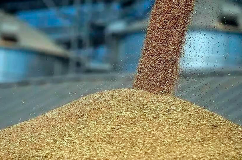В российский госфонд 14 декабря было закуплено 17,55 тыс. тонн зерна