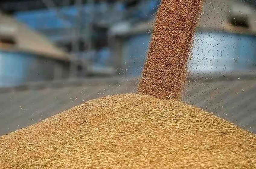 В российский интервенционный фонд 13 декабря было закуплено 17 тыс. тонн зерна