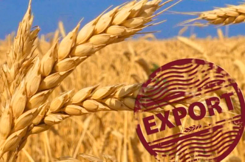 Пошлина на экспорт пшеницы из России с 6 декабря снизится на 0,4%, ячменя останется нулевой