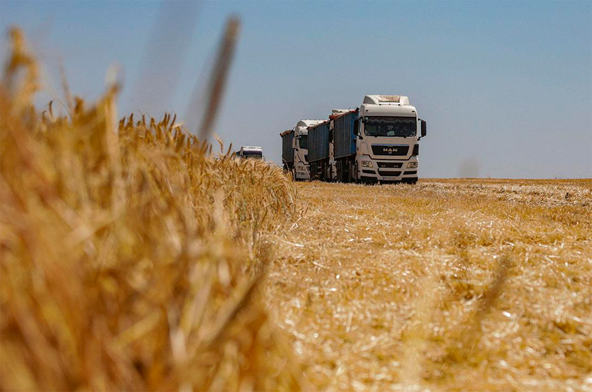 Россия в июле-декабре 2023 года может увеличить экспорт зерна на 30%