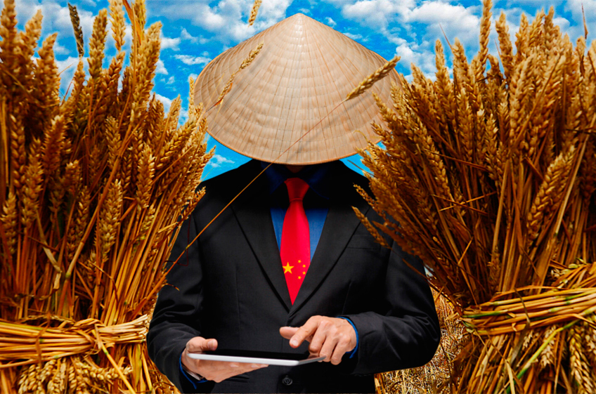 «СовЭкон»: Китай не спешит открывать свой рынок для российского зерна