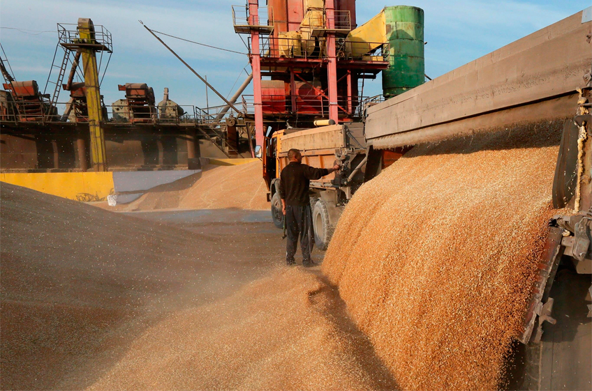 Россия после введения квоты снизила отгрузки пшеницы на экспорт на 7%