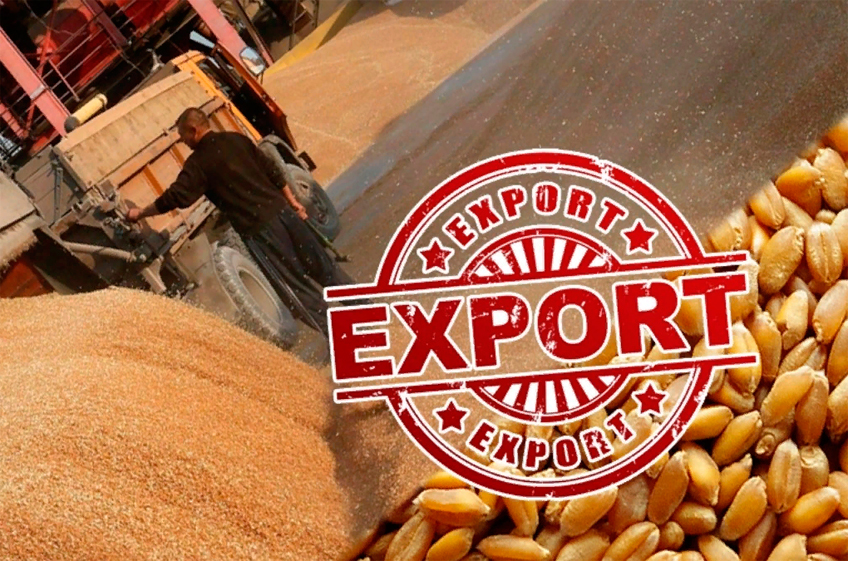 «СовЭкон»: в текущем сезоне Россия может поставить на экспорт 44,3 млн тонн пшеницы