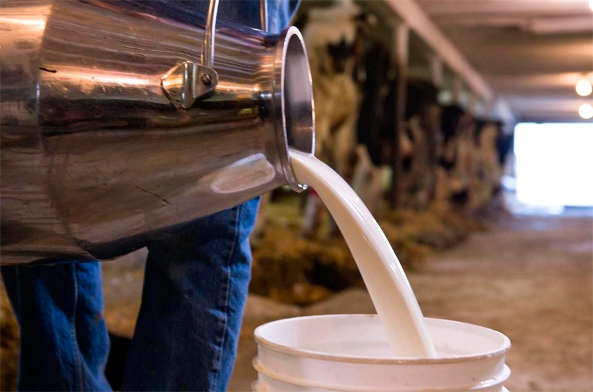 «ЭкоНива»: у России есть реальные возможности для организации биржевых торгов сырым молоком