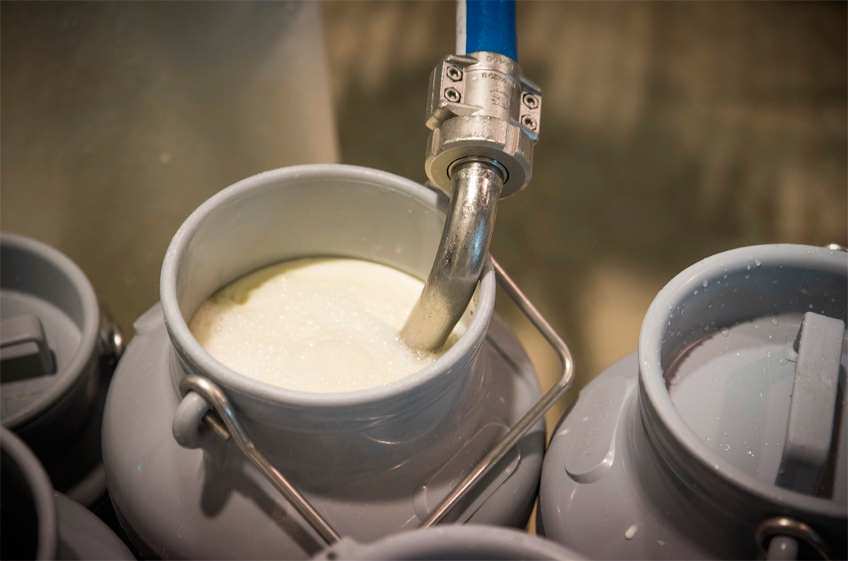 Цены на сырое молоко в России в первом полугодии могут снизиться на 5%