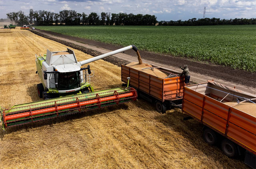 Крупнейшим экспортером зерна в России стала малоизвестная фирма «Грейн Гейтс»