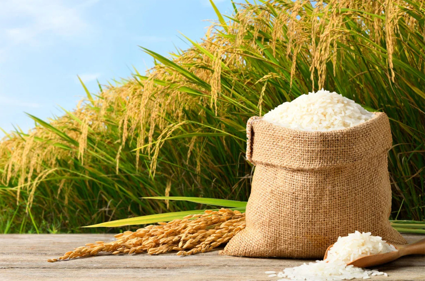 «Прозерно»: риса в России достаточно, но цены могут вырасти