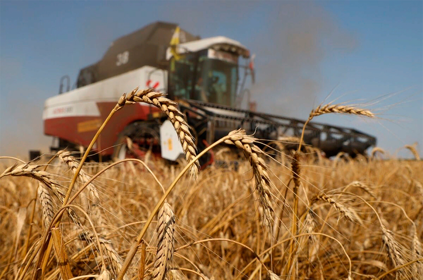 ФАО обнародовала первые оценки мирового баланса зерновых в сезоне-2023/24