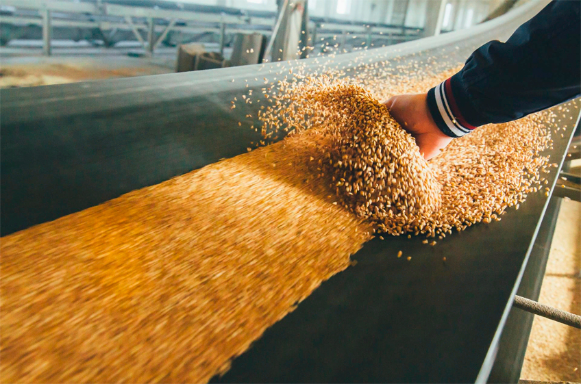 Российские власти готовы донастраивать экспортные пошлины на зерно