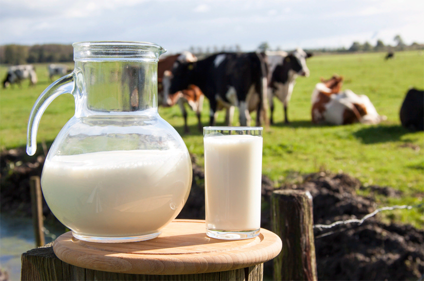 Минсельхоз РФ: необходимости в проведении закупочных интервенций на молочном рынке нет