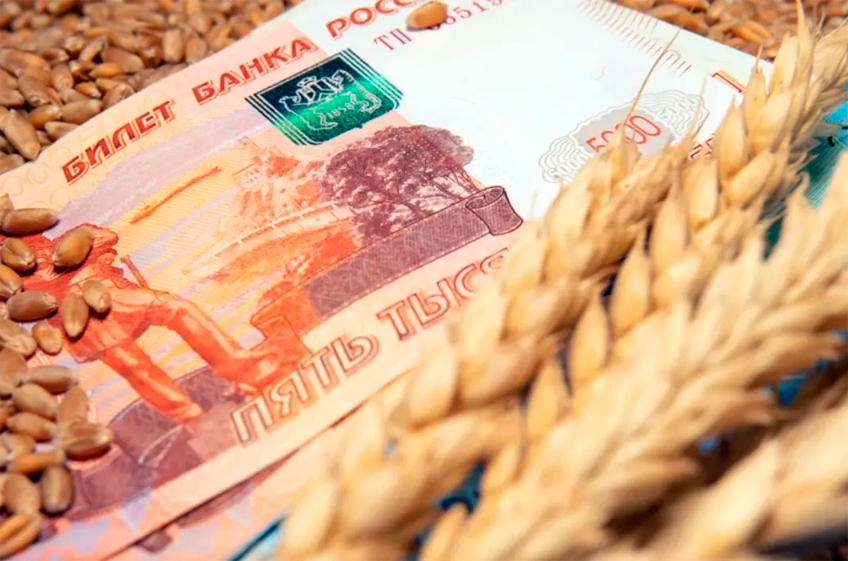 Закупочные цены на пшеницу в России выросли после объявления о повышении базовой цены для расчета экспортной пошлины