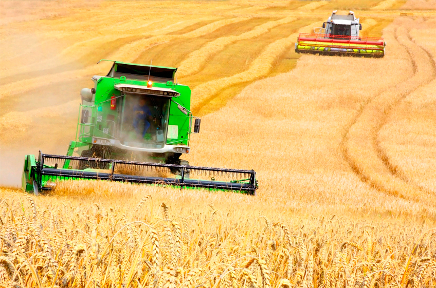 Российские аграрии: в 2023 году будет достаточно 120 млн тонн зерна
