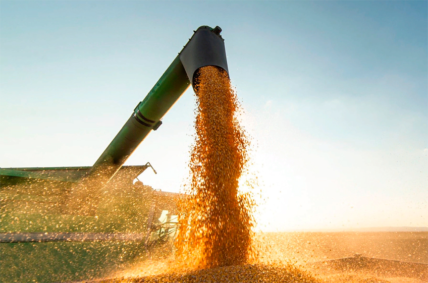 Ситуация на рынке зерна нормализуется только с прекращением конфликта на Украине