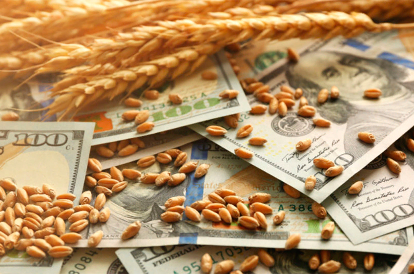 РЗС: отмена экспортной пошлины на зерно эффективнее увеличения закупок в госфонд