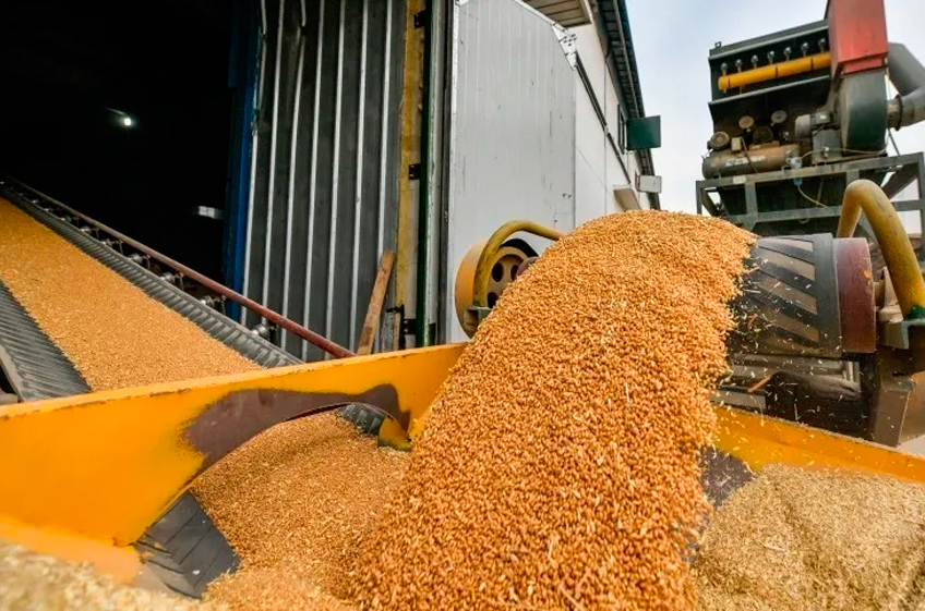 Союз экспортеров зерна РФ призвал убрать барьеры для экспорта российского зерна