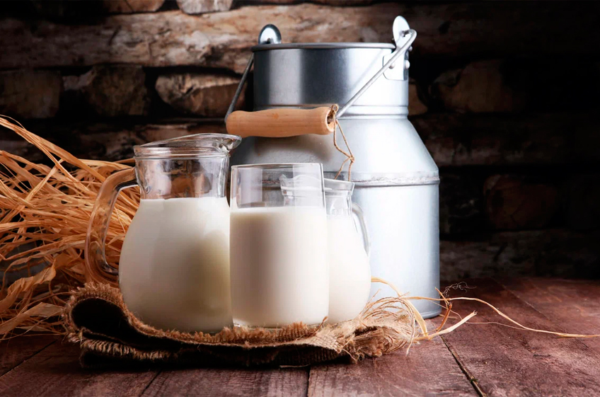 «Союзмолоко»: производство молока в России в 2023 году может увеличиться на 3%