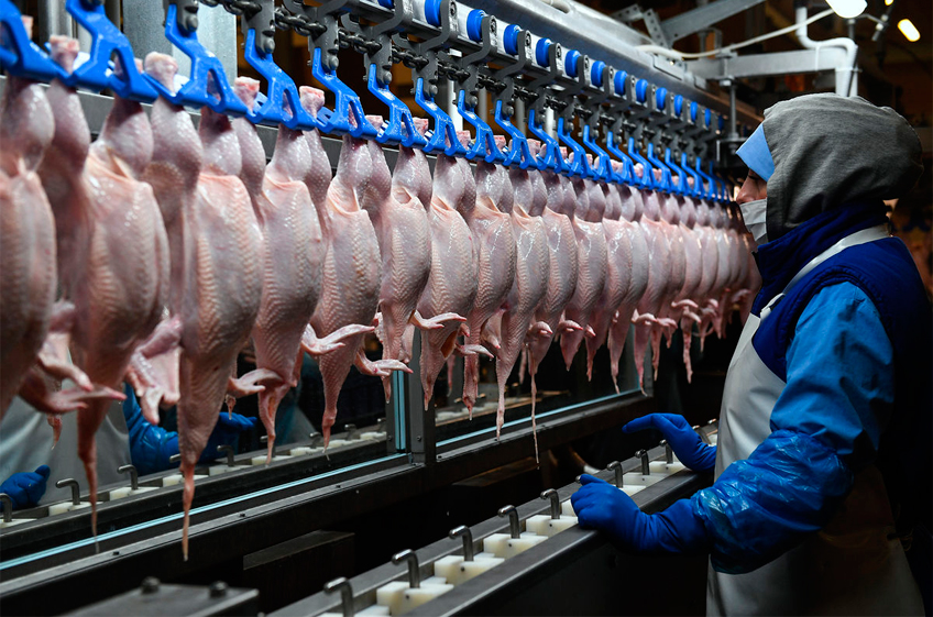 В. Путин поручил принять меры по увеличению объемов мяса птицы на российском рынке