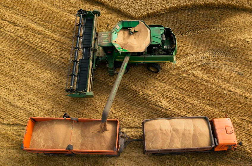 Сбор зерна в России к 24 ноября составил 146,3 млн тонн в бункерном весе